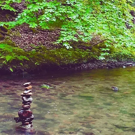 Kuckuckswinkel Zarah * Schöna