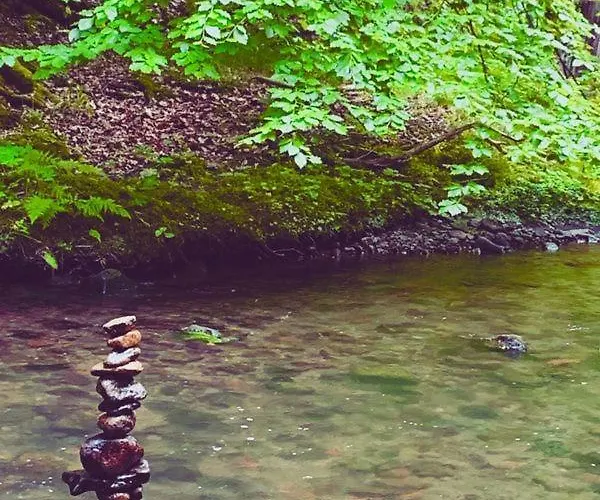 Kuckuckswinkel Zarah * Schona